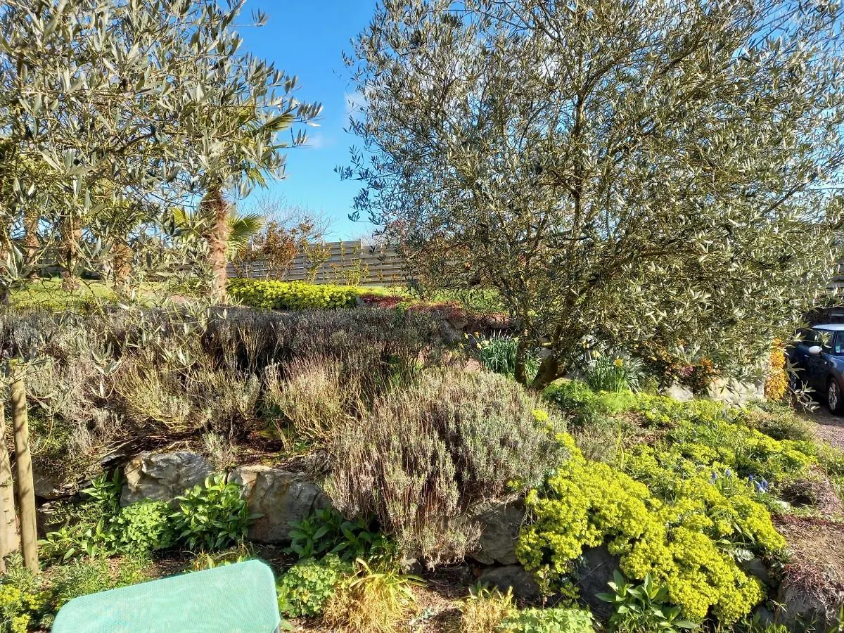 Havre De Paix Et Jardin Tropical. Chambre Privee Le Rheu Γαλλία